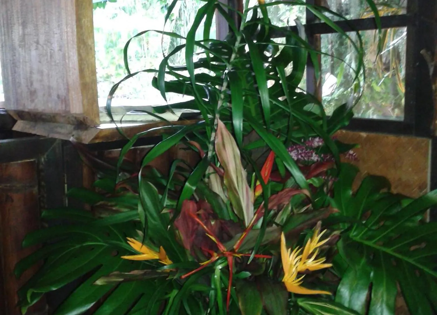 Hotel Fenua Mata'I'Oa Papetoai