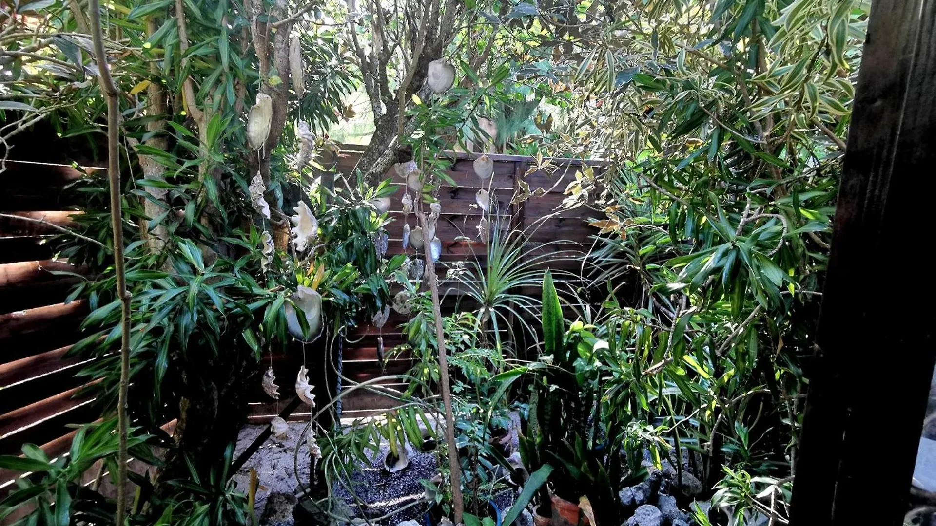 Hotel Fenua Mata'I'Oa Papetoai